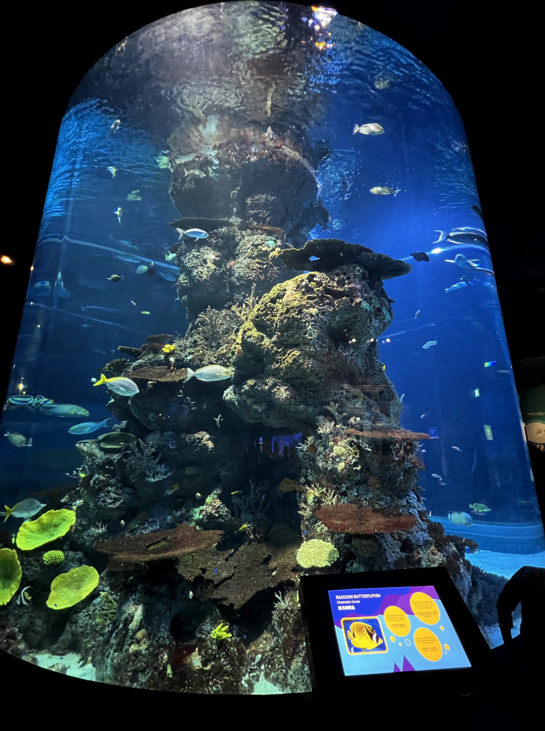 S.E.A. Aquarium