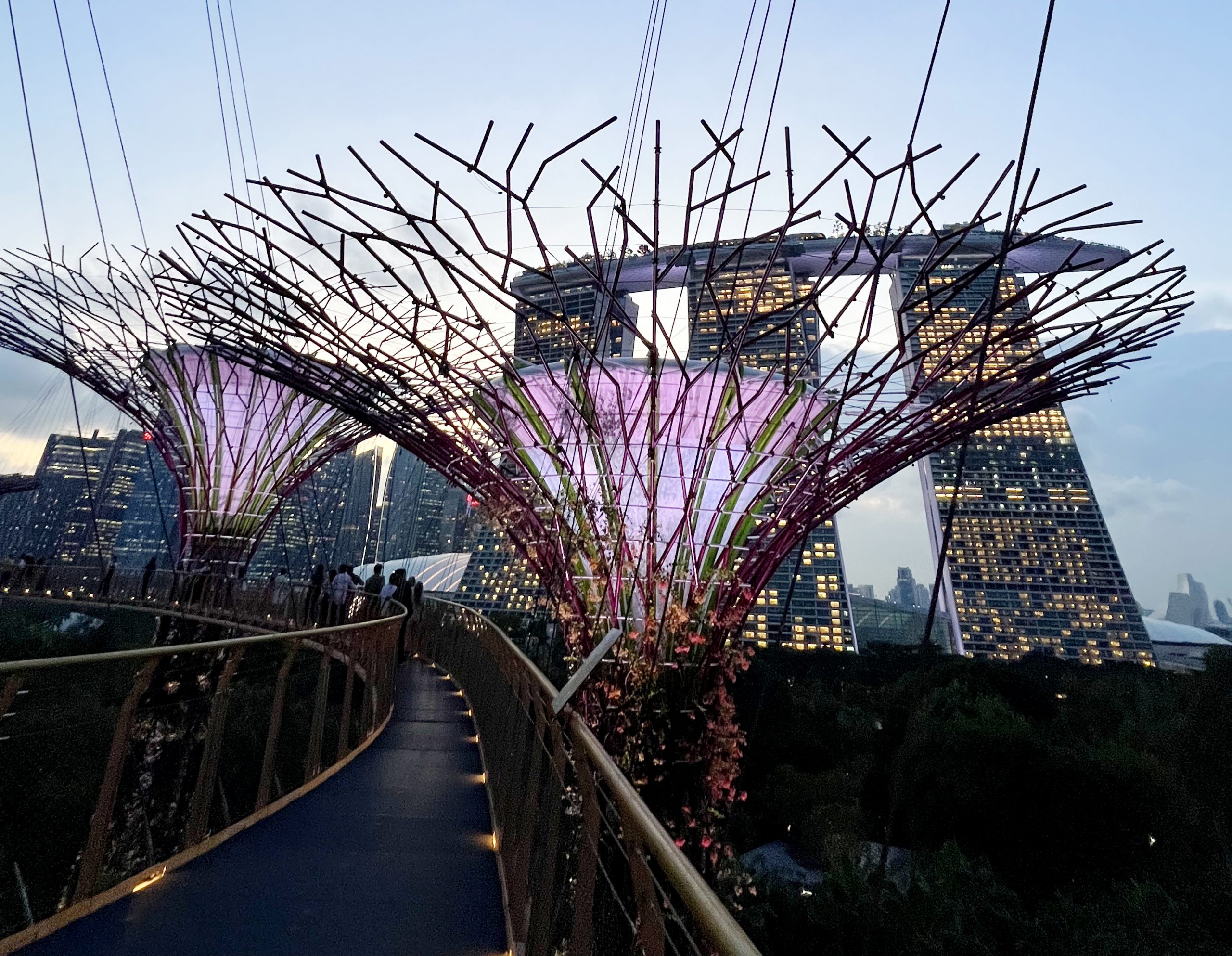 Gardens by the Bay